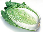 白菜