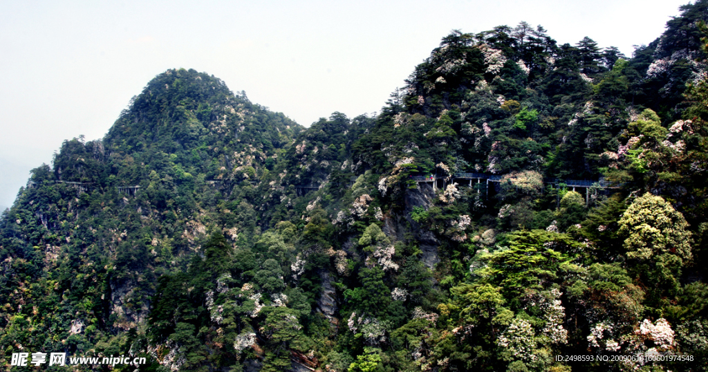 井冈山春色