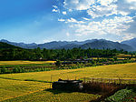 乡村风景