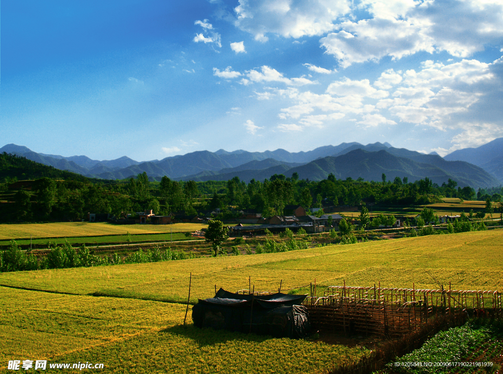 乡村风景