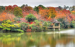 河边风景
