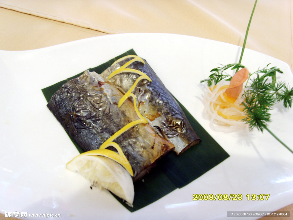 宁波有种鱼叫青砖鱼，很像山东鲅鱼，口感一样，是一种吗？_凤凰网视频_凤凰网