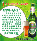 岛城啤酒