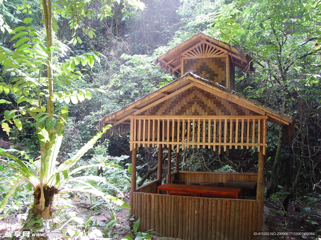 莫里热带雨林景区之小竹屋