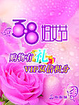 三八妇女节浪漫玫瑰花