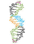 矢量分子结构图