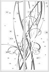 灰白花纹