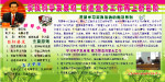实践科学发展观