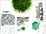 茶  三折页