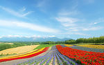 山上花园