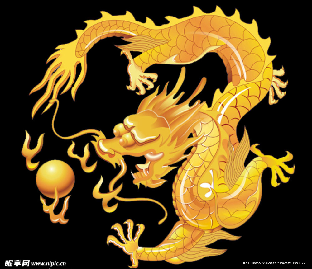 金龙