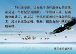 团队