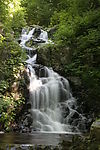 小溪风光