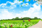 蓝天草地