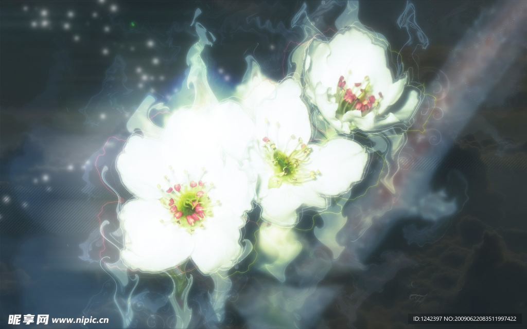 花朵背景