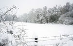冰雪世界