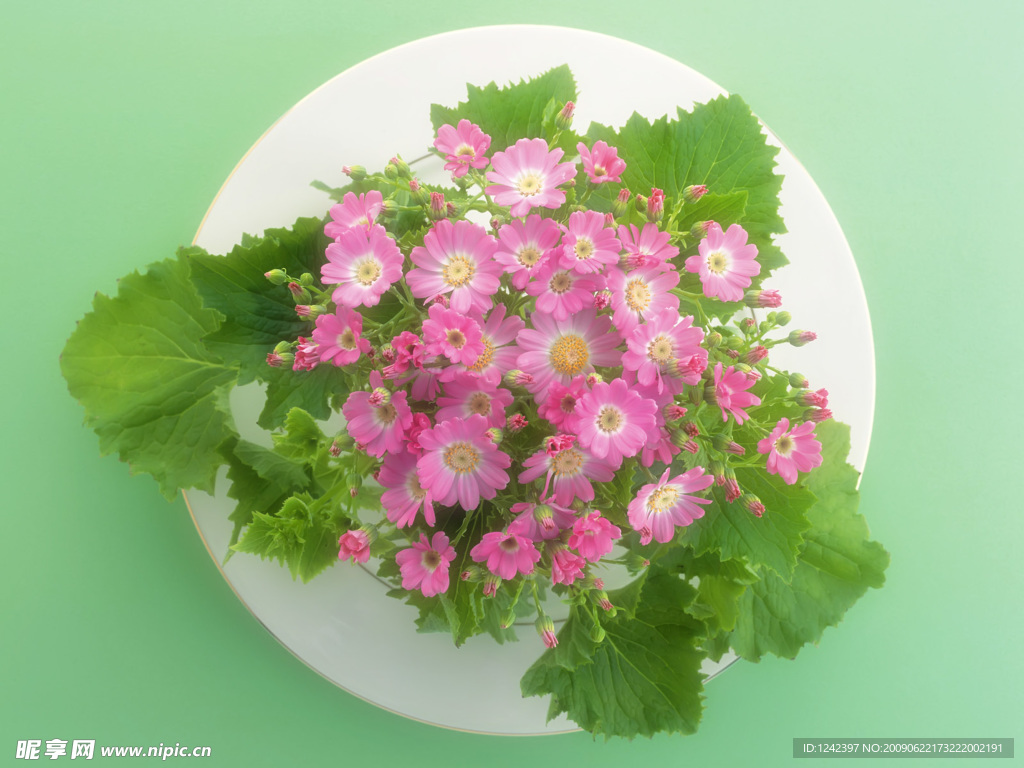 花朵背景