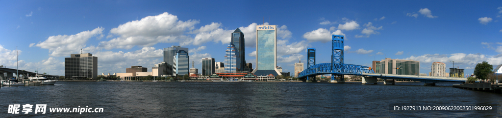 杰克森维尔市全景