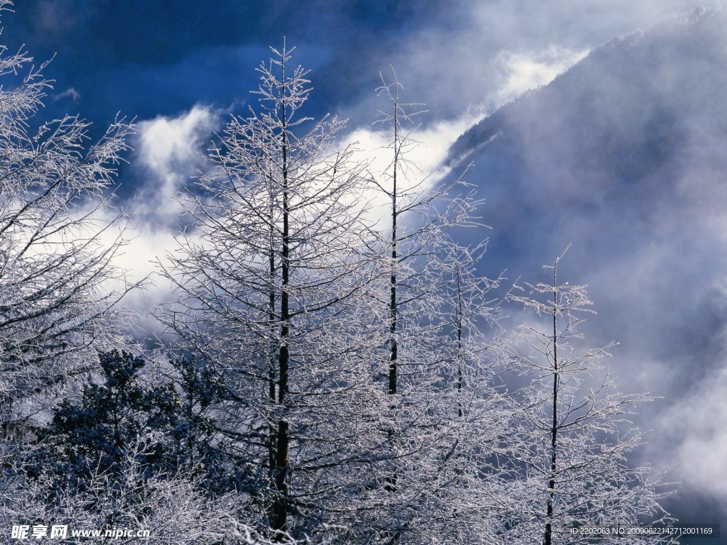 似雾积雪