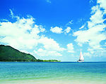 夏日海滩风景椰树