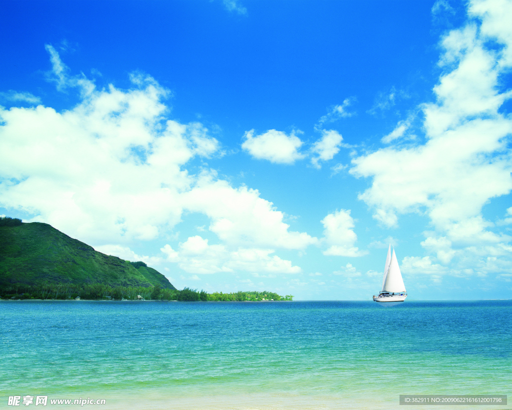 夏日海滩风景椰树