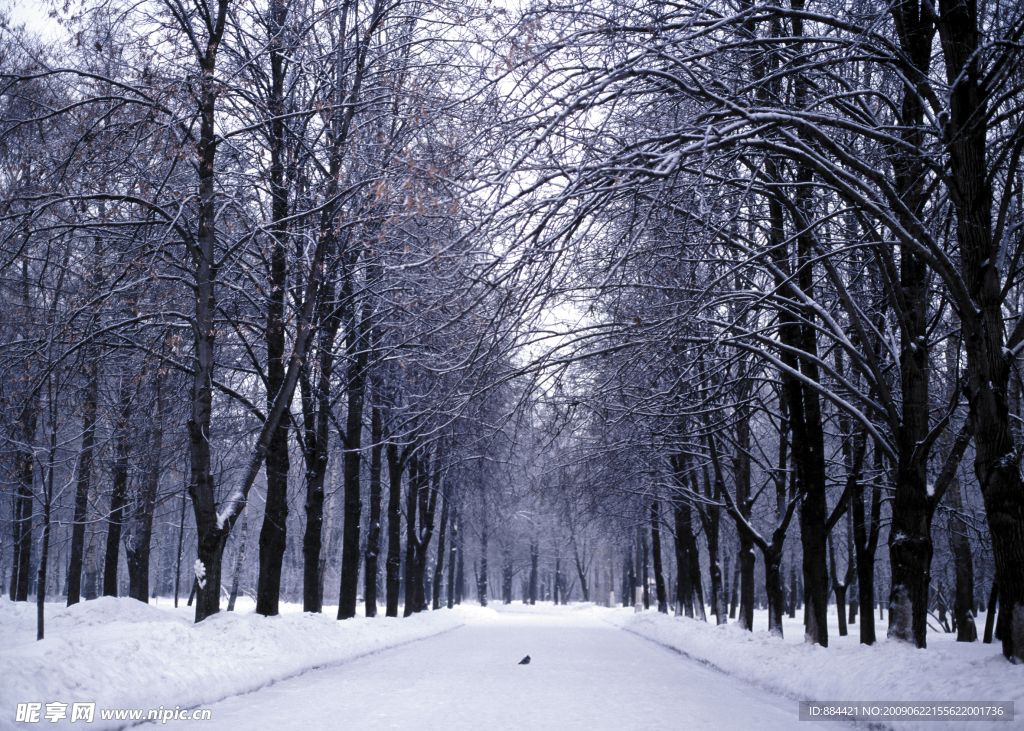 雪景 乡间小路