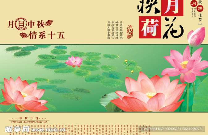 映月荷花