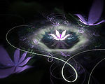 花朵光线