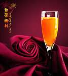 troplcal 热带雨林