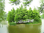 小岛