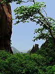黄山小景