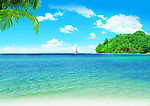 夏日海滩椰树