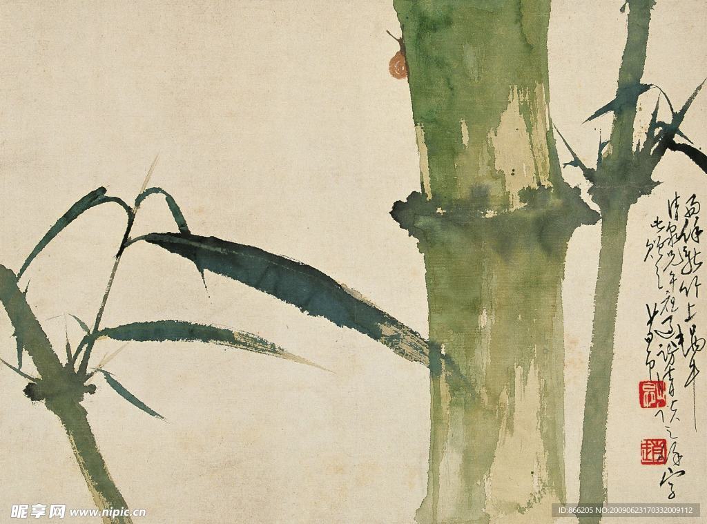 绿竹