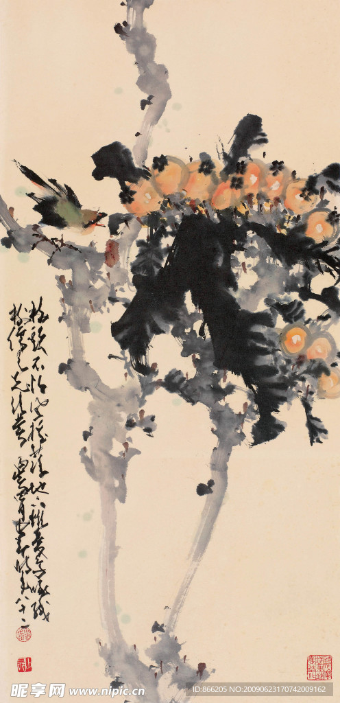 花鸟