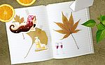 缤纷办公生活