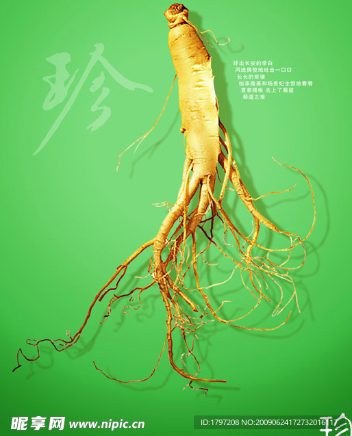 人参