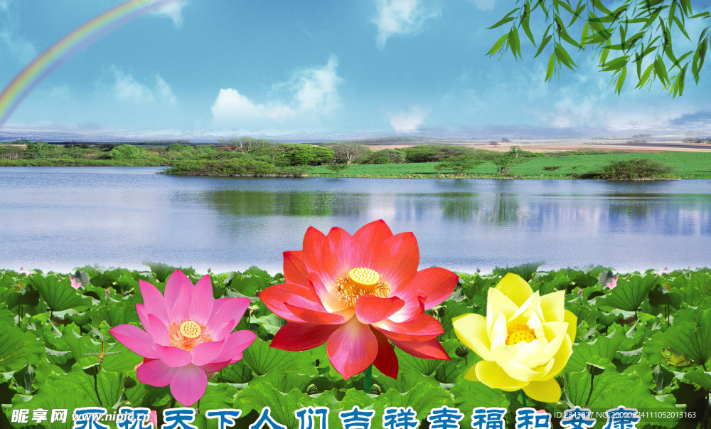 荷花池
