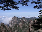 黄山怪松奇石