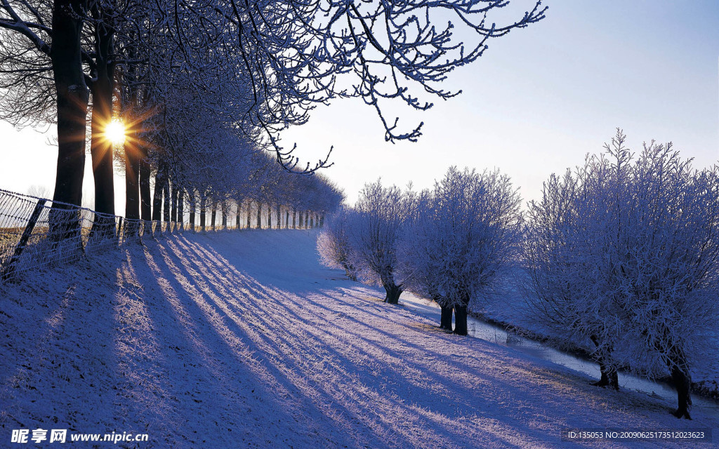 荷兰的冬天雪景