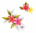 手绘花卉分层psd素材