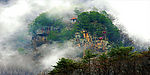 纯自然风景