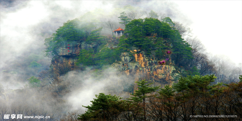 纯自然风景