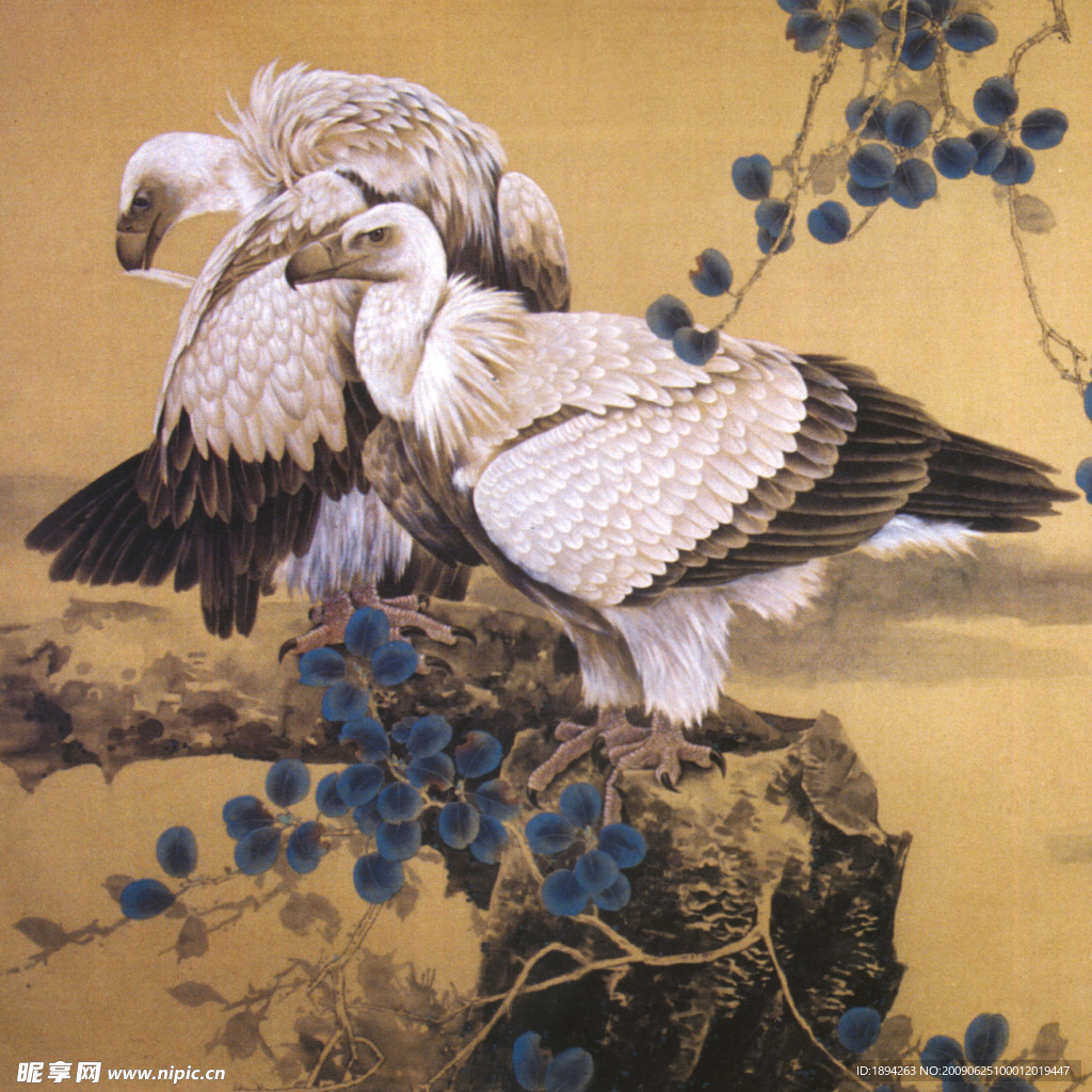 花鸟图