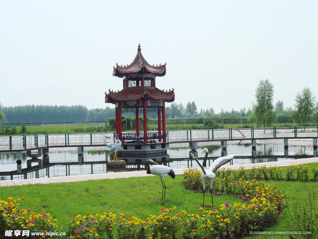 美丽风景