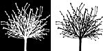 抽象装饰画黑白树
