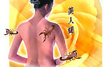 美人蝎