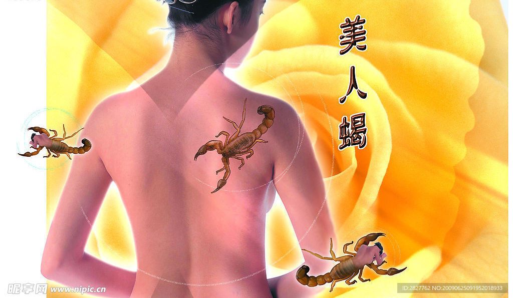 美人蝎