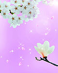 孤单芭蕾
