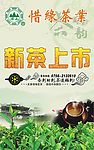 新茶上市