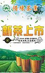新茶上市